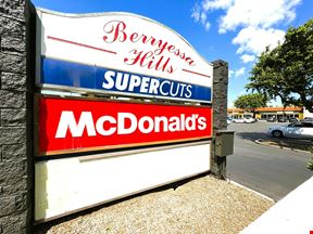 Berryessa Hills Shopping Center