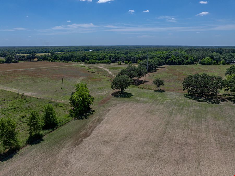 Alachua Transitional Acreage