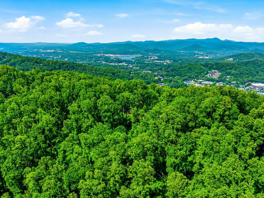 Rare South Asheville Estate Farm on ±80 Acres