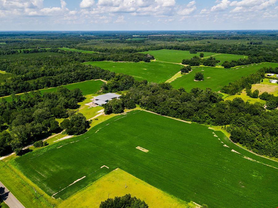 Marianna Farm and Hunting