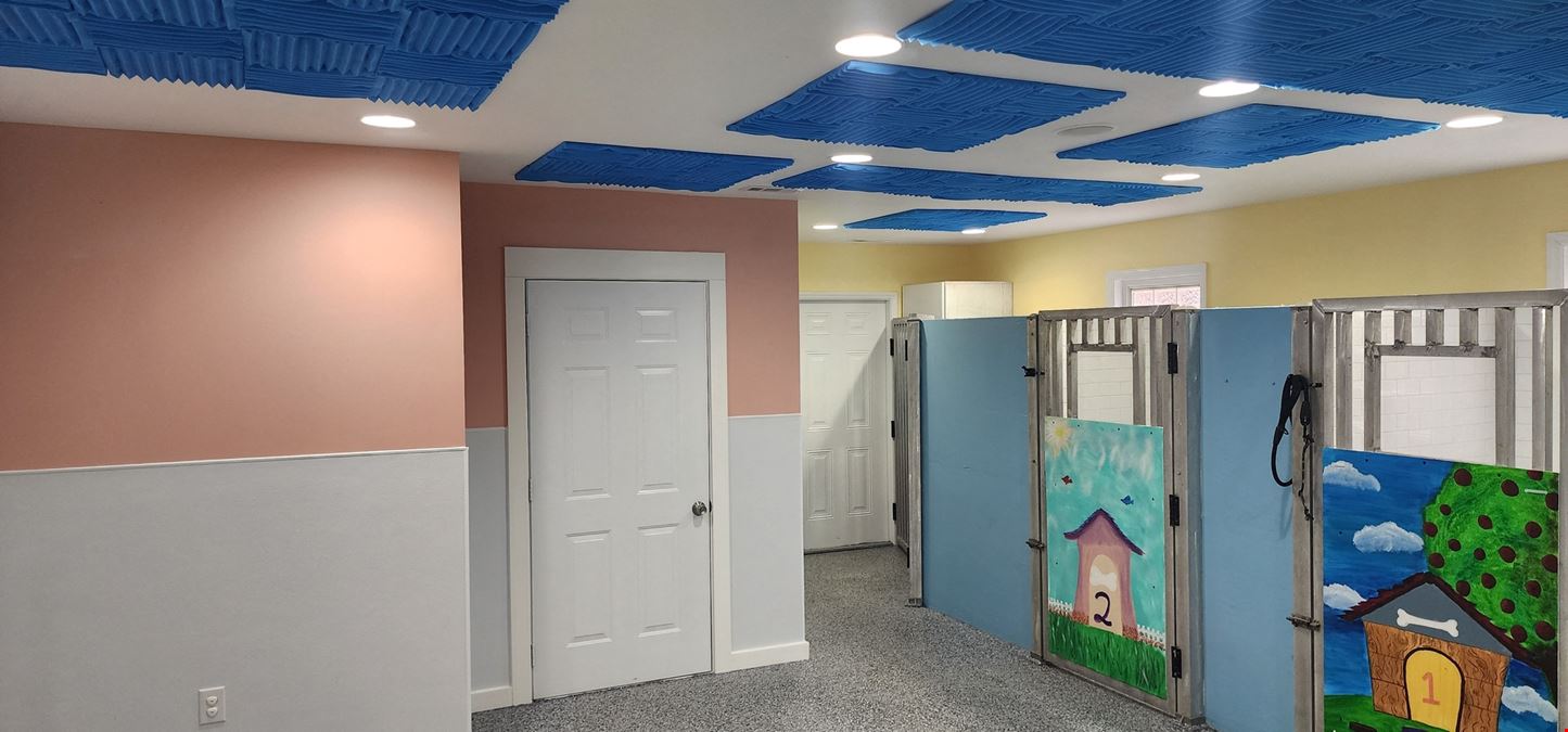 Retail - Medical - Veterinarian - Day Care