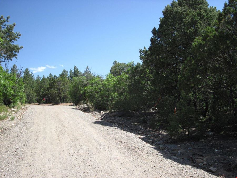 1 Owl Rd
