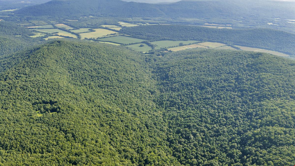 West Dempsey 339 Acres