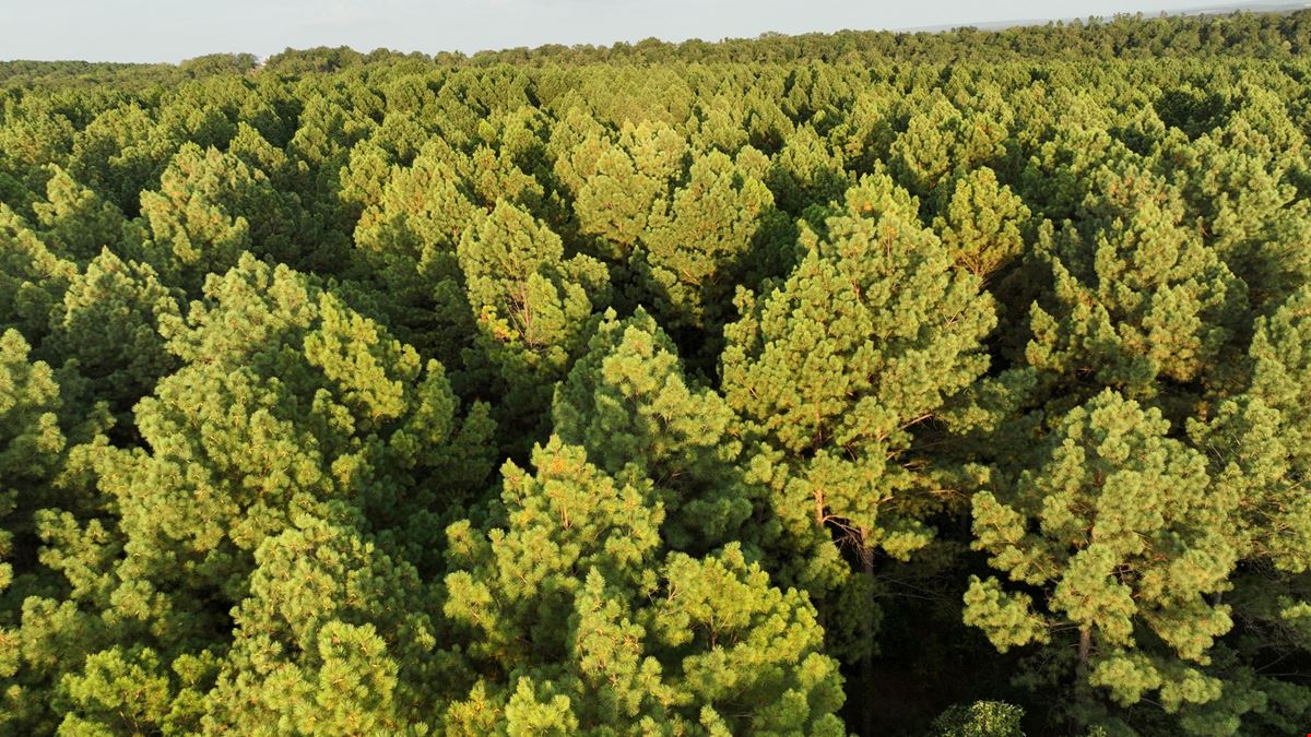 380 Acres in Crawford County Arkansas