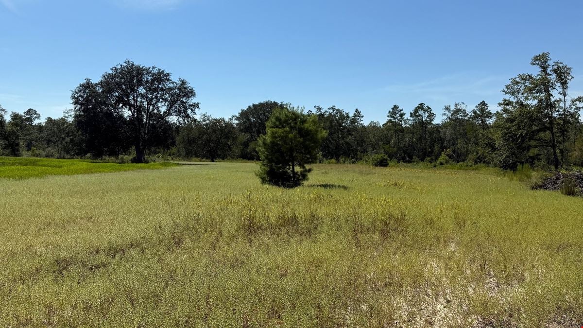 Ranch, Hunt & Invest: 280± Acres of Productive Timberland in SE Washington County