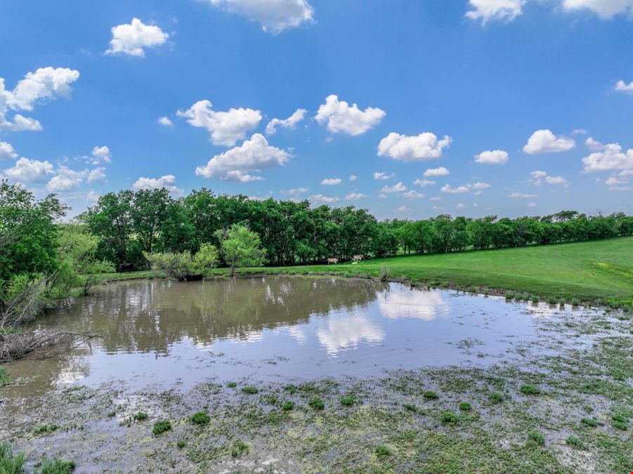 22.833 Acres for Sale in Royse City, TX