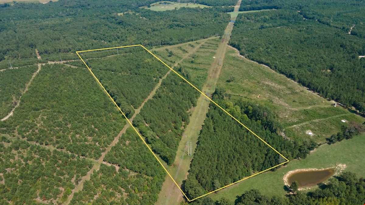 ±34 Acres | Salley, SC