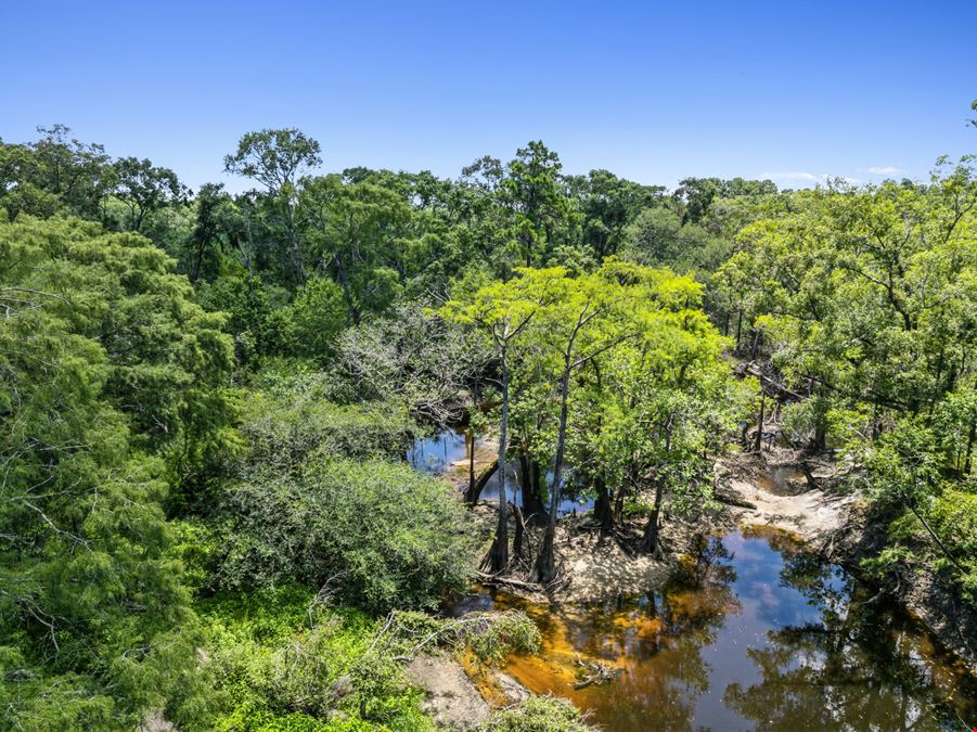 Withlacoochee River Timber and Hunting