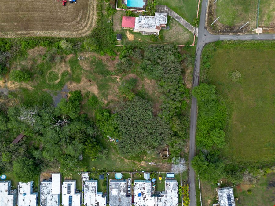 Residential Development Opportunity in Arecibo - 13.65 Acre Land