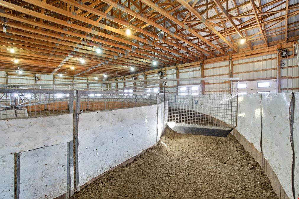 World-Class Equestrian in Central Alberta (Canada)