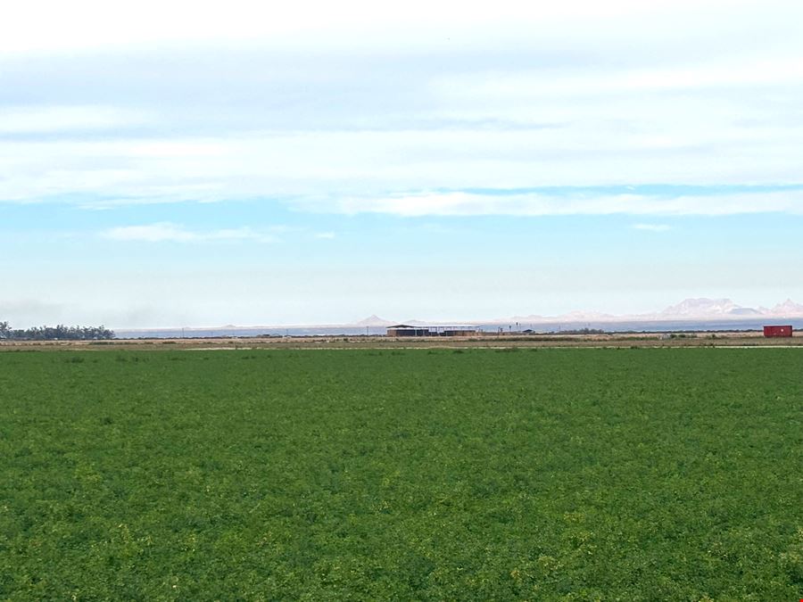400 Acre Pump Farm in Tacna, Avenue 41 E and County 7 St S