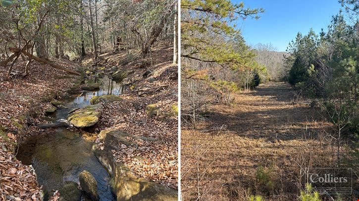±105-Acre Recreational Tract with Practical Homestead Sites