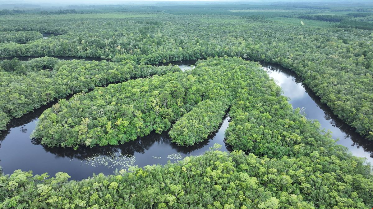 Camden Satilla River Tract