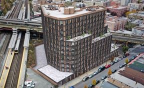 The Roosevelt Triangle