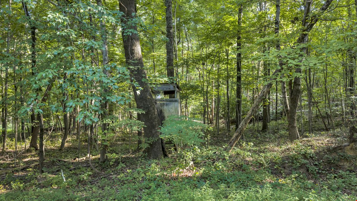 Dempsey East 440 Hunting/Recreational