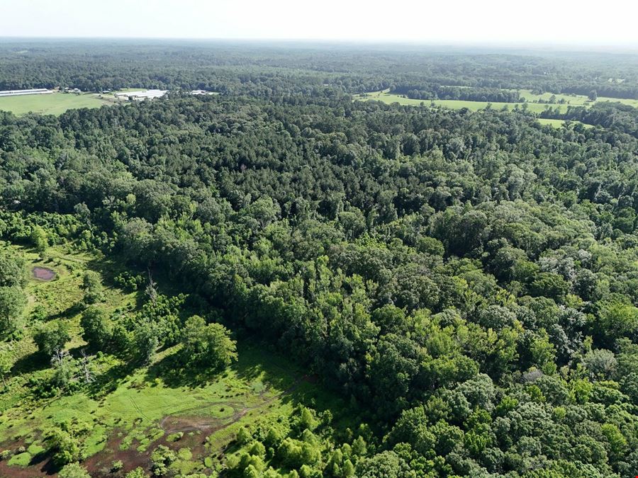 Residential Development Opportunity