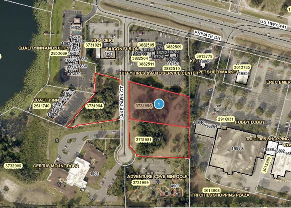 C3 Mount Dora Vacant Land for Development