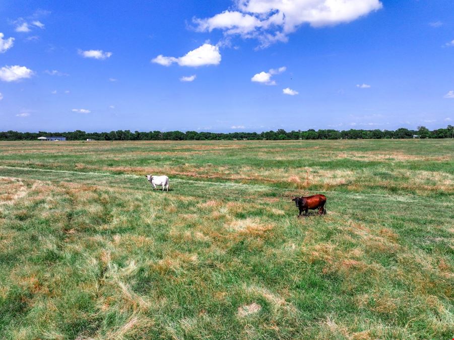 Land for Sale in Lone Oak
