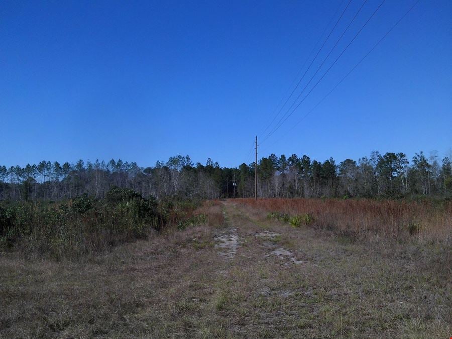 203 Acres in Valdosta