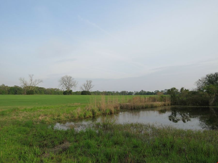 Suwannee County Farm