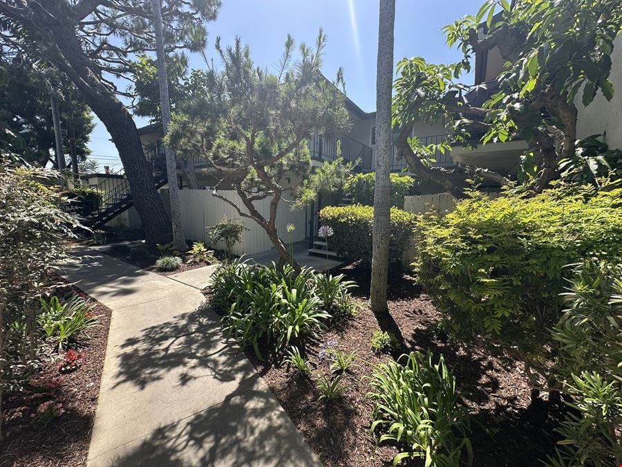 Palm Villa