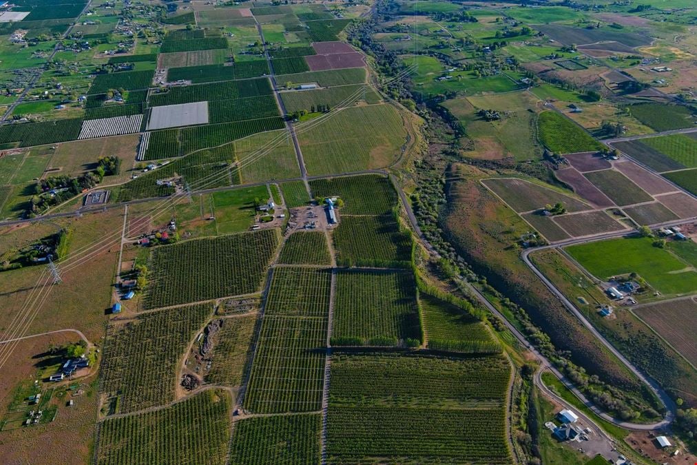 Benton Acord Orchard