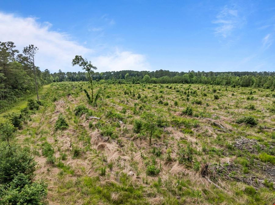 4700 and 4756 Oakley road, Stokes, NC 27884