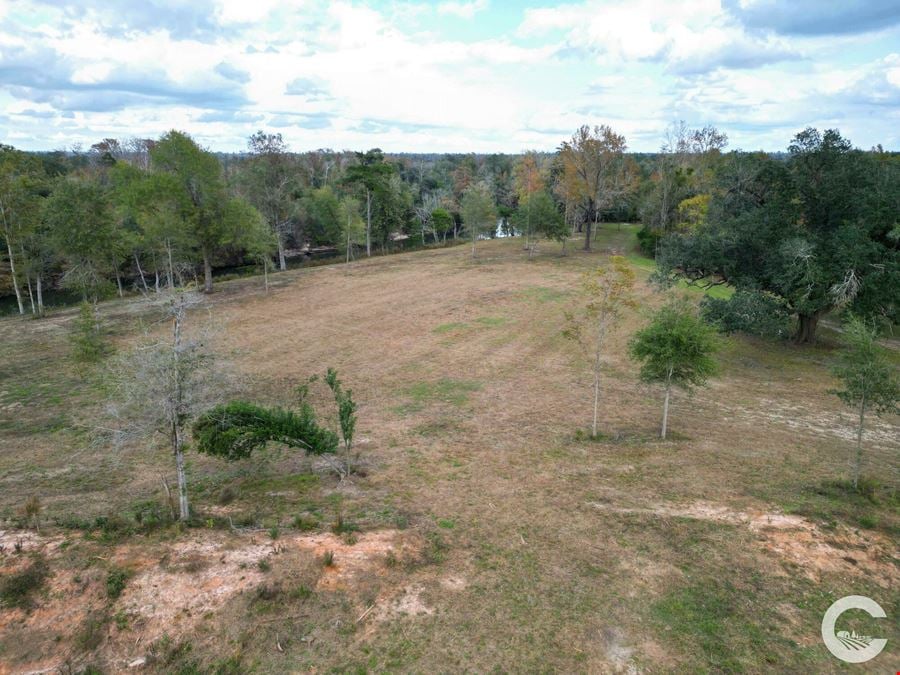 111 Acres with 3,200 Feet of Chipola River Frontage in Marianna, FL