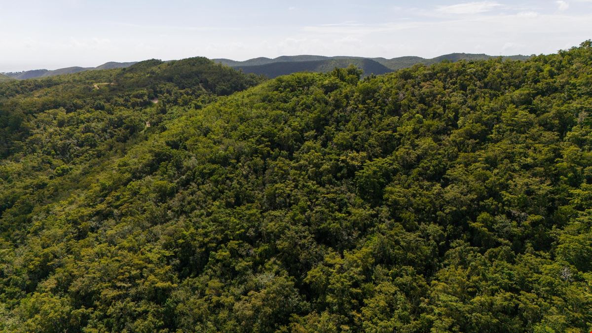 Ponce Agricultural 18.36 Acre Land @ Canas Ward - For Sale