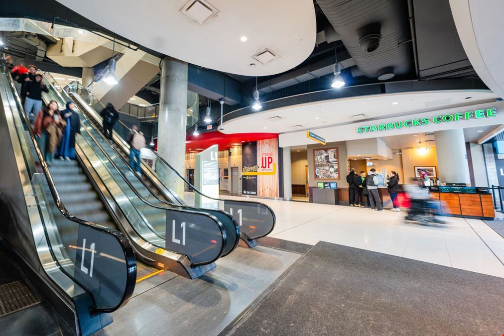 The Tenor - Retail