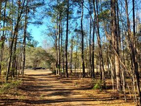 25 Acres for Sale in Meggett