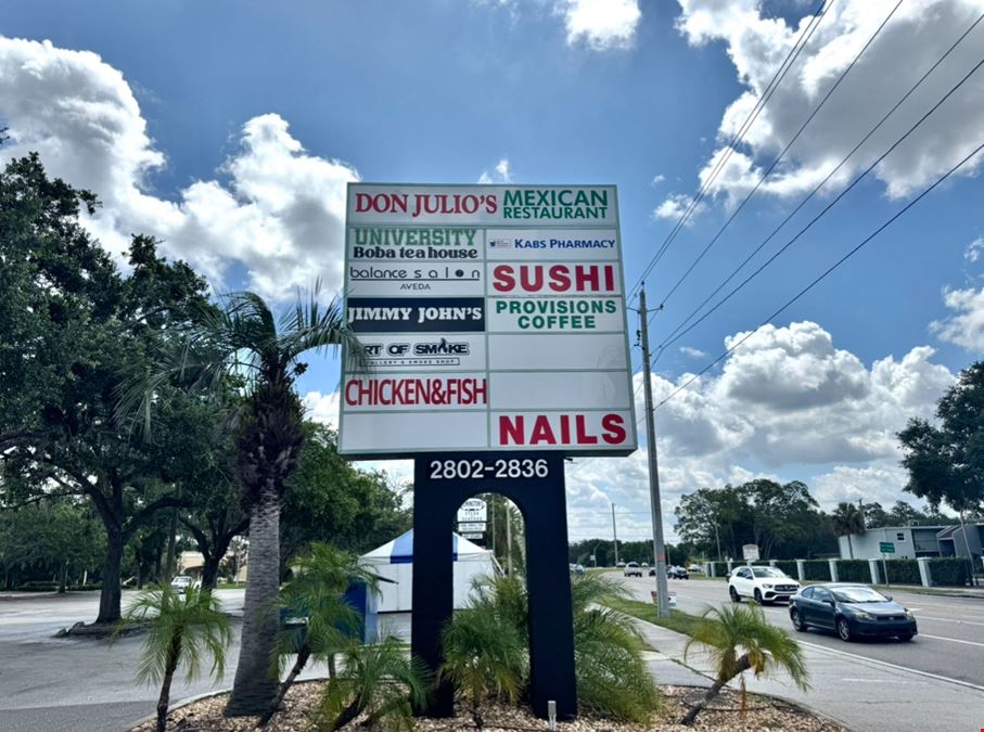 Palms Connection