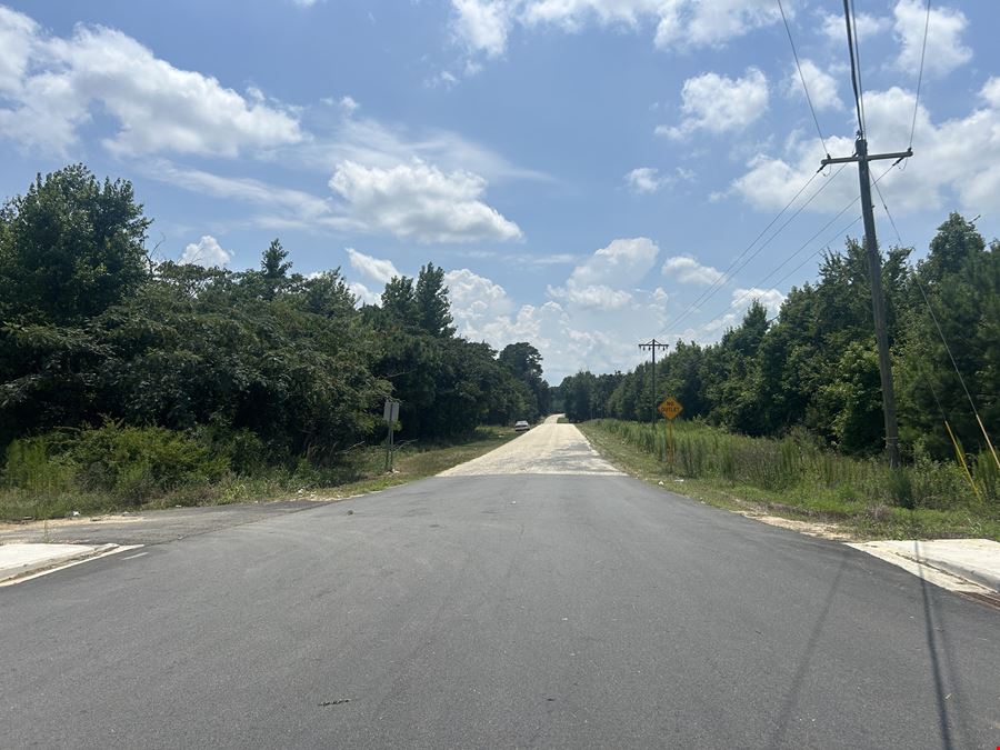 Alligator Rd