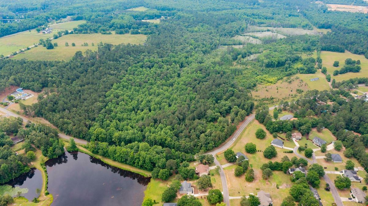 13.75 Acres Undeveloped Land with Timber: Mixed Hardwoods in North Aiken