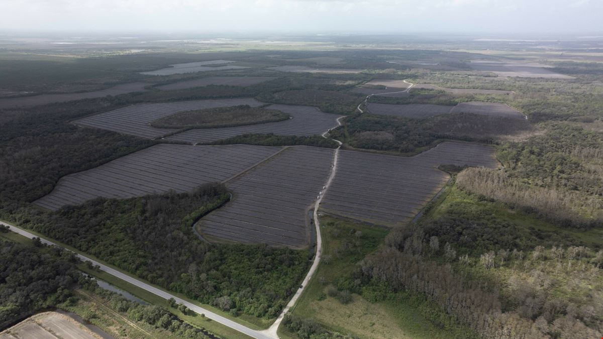 Owl Hammock Farms