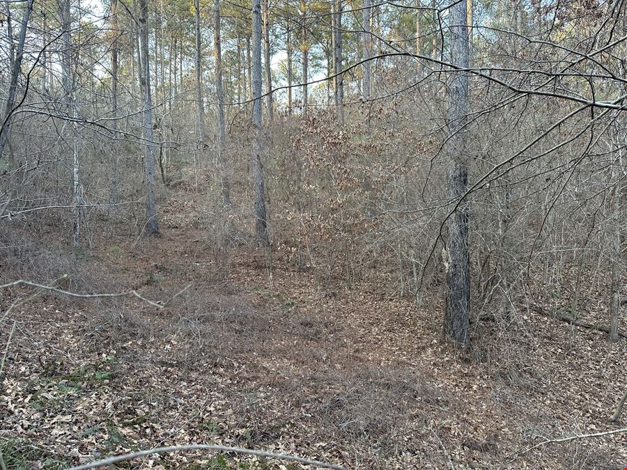 Mt Zion Road - 34.26 Acres