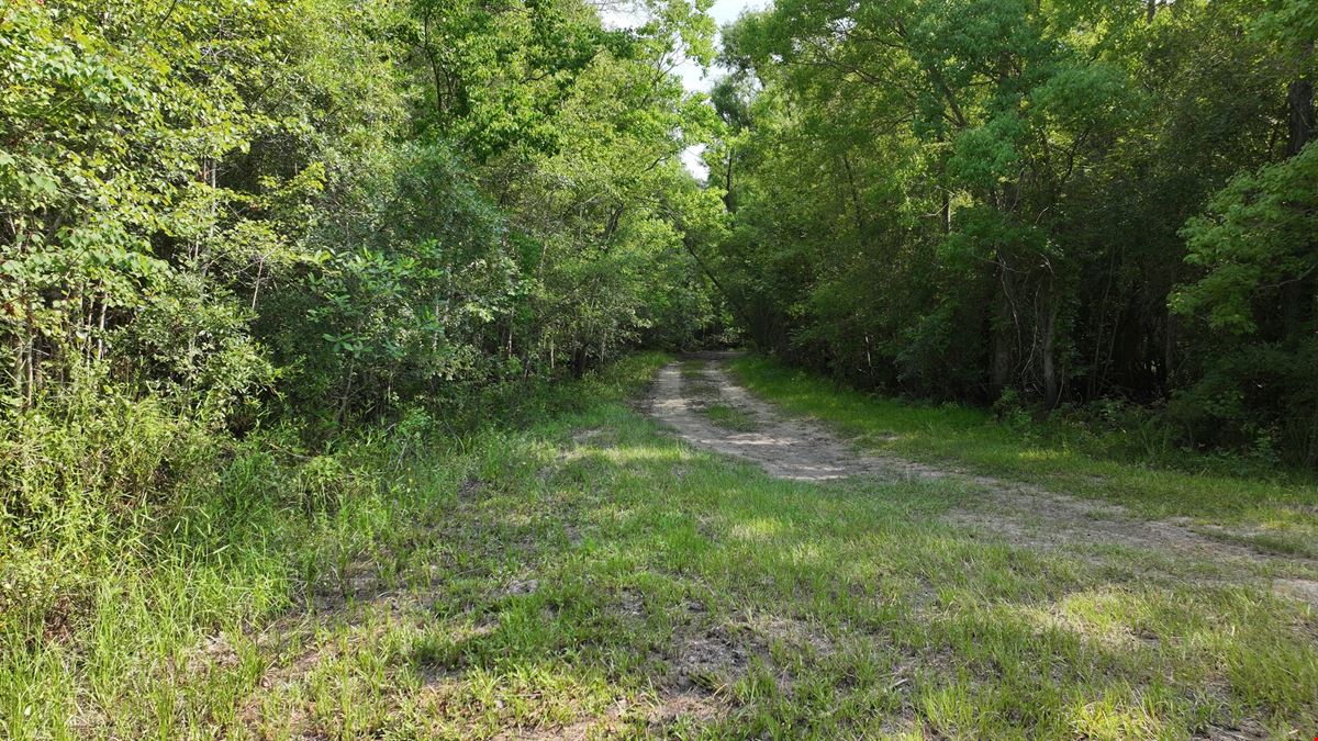 Satilla River Bottom Timberlands