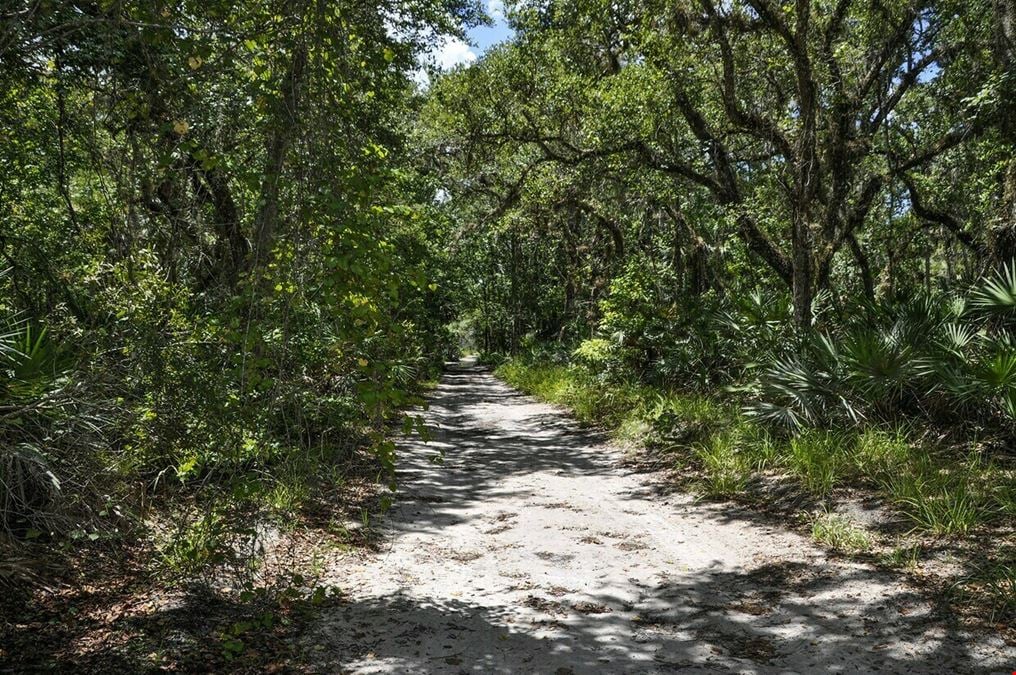 +/- 106.7 Acres near Lake Harney