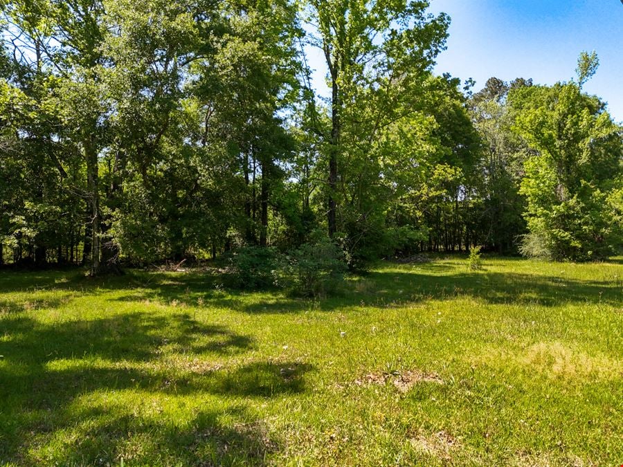 Corner Acreage with Development Potential Near I-12
