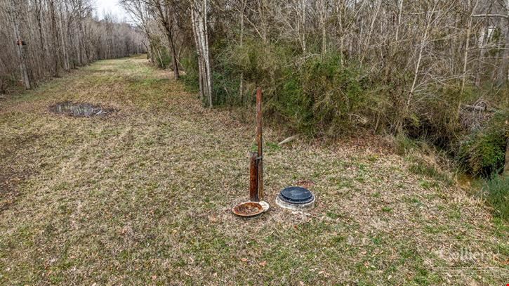 ±53.70-Acre Recreational Tract for Sale in Clinton, SC