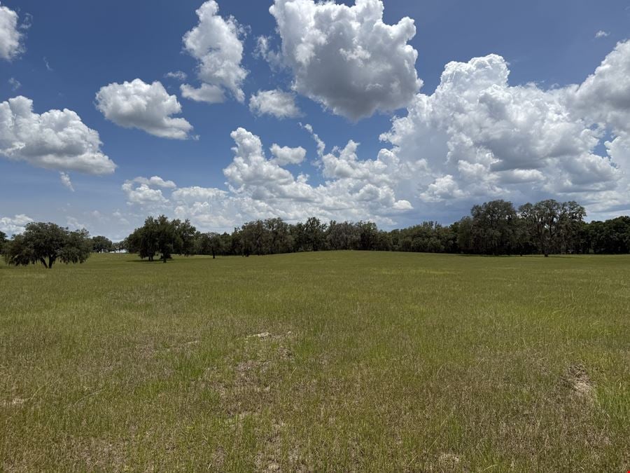 72± Acre Marion County Ranchette