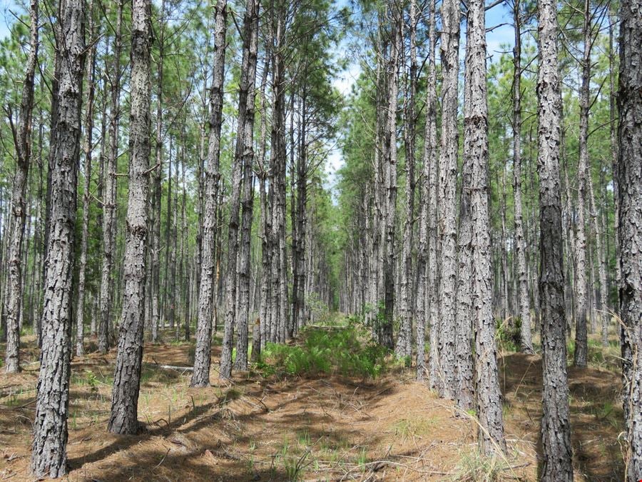 Otter Creek West Tract