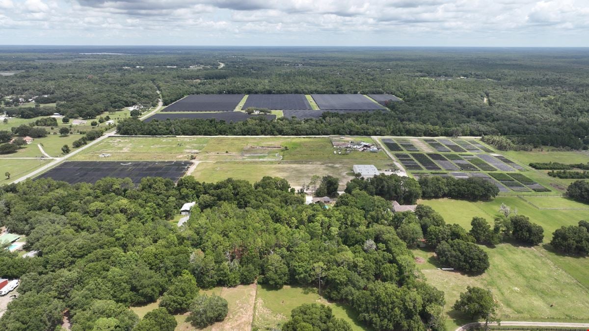 Volusia County Landscape Nursery