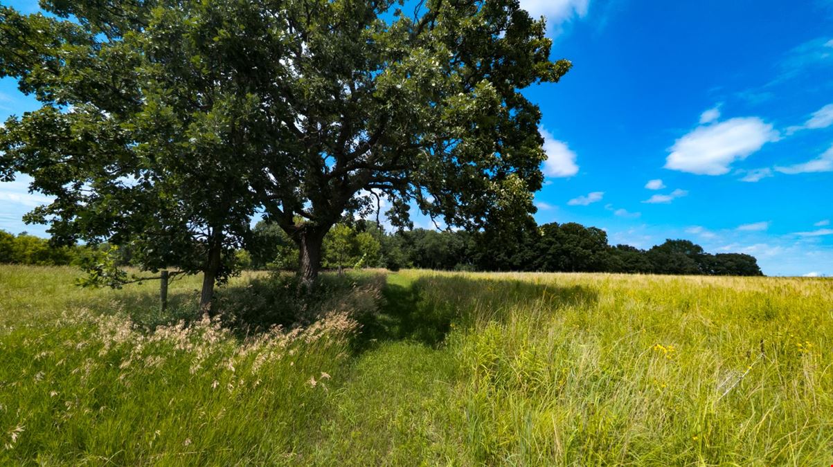 Rochester Premier 35 Acre Estate