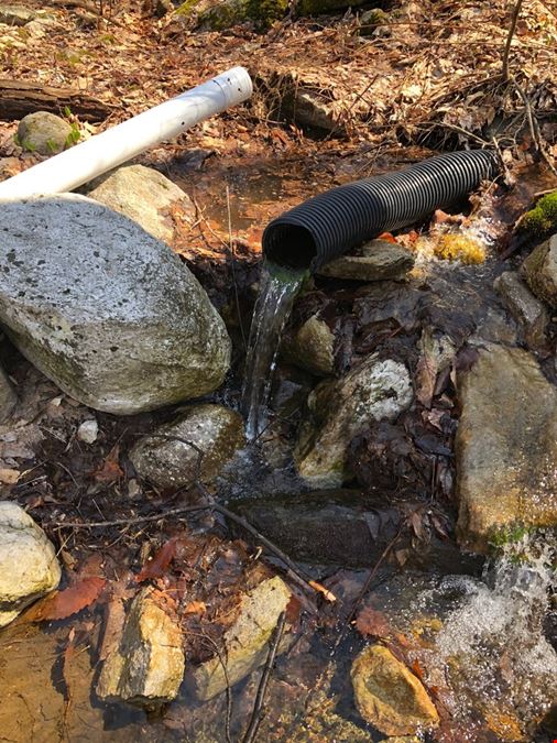 Mountain Spring Artesian Water Source