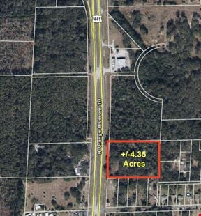 Residential Land in Mount Dora