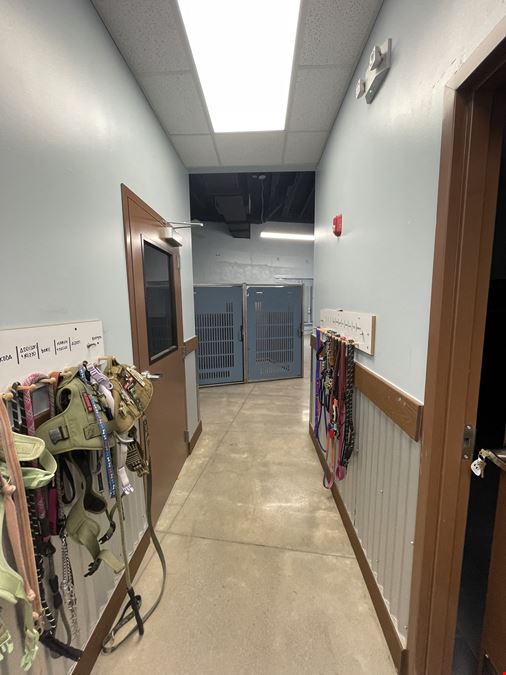 Single Tenant NNN Investment