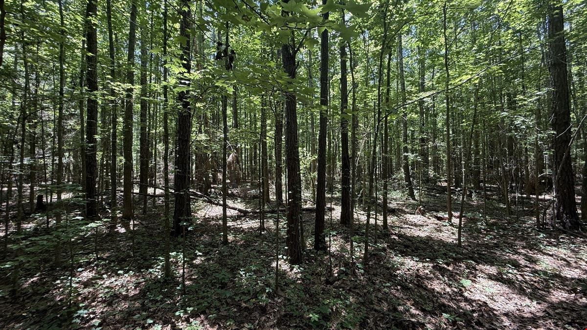 42.02 Acres | Residential Development Opportunity in Dothan, AL
