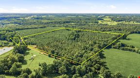 Richey Timber 40 Acres