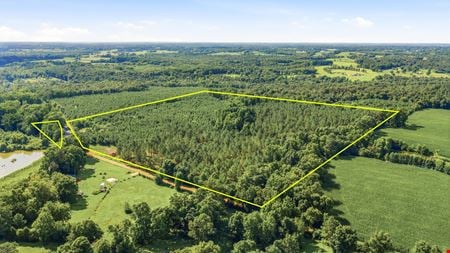 Preview of VacantLand space for Sale at 906b County Road 318